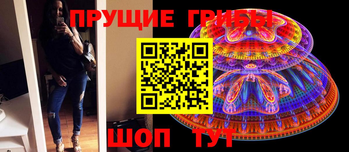 APVP Ставрополь