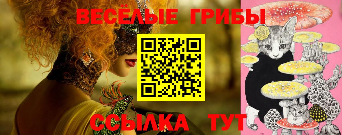 Ставрополь  Псилоцибиновые грибы Magic Shrooms  где купить наркотик  Вход с VPN 